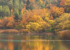 Χαλάρωση στην αγκαλιά του Χελμού