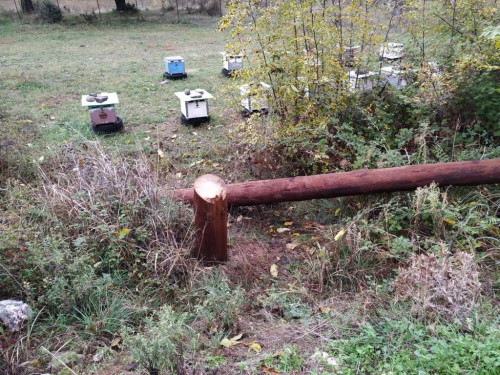 Βέροια : Πριόνισαν κολόνες της ΔΕΗ που έδιναν ρεύμα σε προσφυγικό καταυλισμό