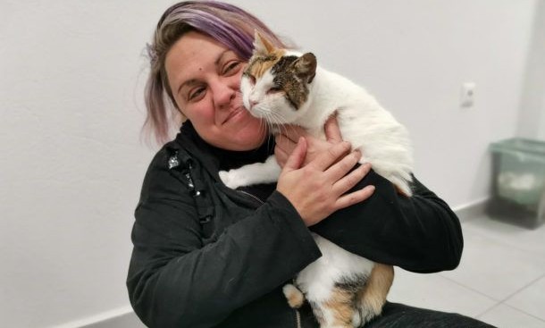 Η τυφλή γάτα που κακοποιήθηκε στη Φολέγανδρο βρήκε ζεστή αγκαλιά