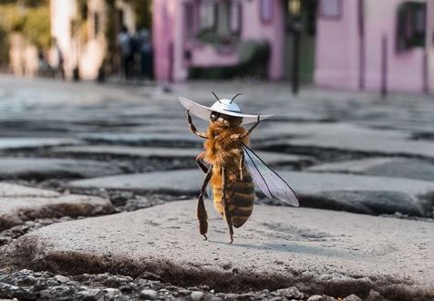Η μέλισσα-influencer είναι εδώ