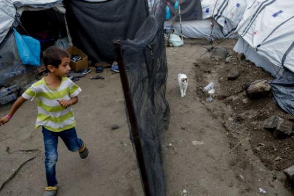 Με Απόστολο Δοξιάδη το σχέδιο για τα ασυνόδευτα προσφυγόπουλα