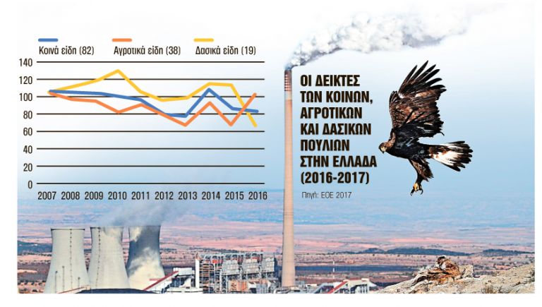 Χάνονται τα πουλιά και οι πεταλούδες