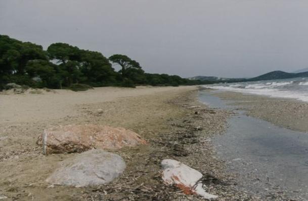 Βρέθηκαν οι τρεις αγνοούμενοι σέρφερ στον Σχοινιά