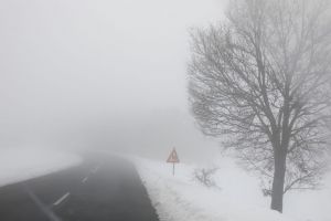 Εύβοια: Λεωφορείο έπεσε σε χαντάκι λόγω χιονόπτωσης –Εγκλωβίστηκαν 53 φοιτητές