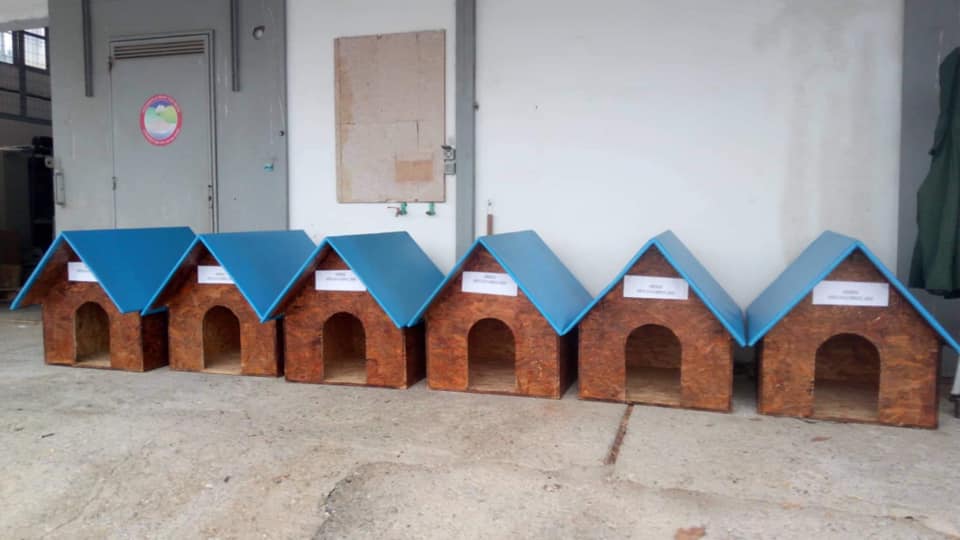 Ξύλινα σπιτάκια στον Όλυμπο για την προστασία των αδέσποτων από το κρύο