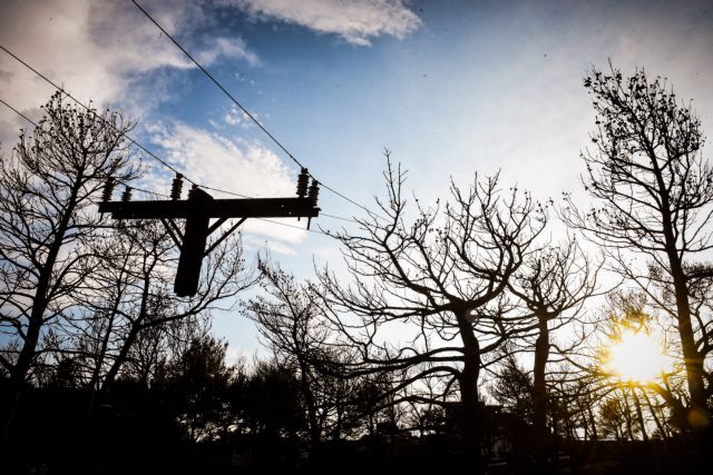Καιρός: Από την βαρυχειμωνιά στην… άνοιξη – Θερμοκρασίες ρεκόρ σε Ευρώπη