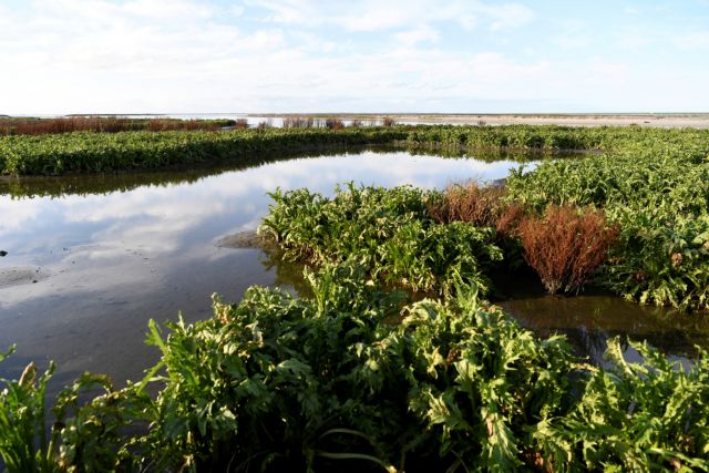Γη: Πολλαπλασιάζονται οι καταστροφικές συνέπειες της ανθρώπινης δραστηριότητας στον πλανήτη