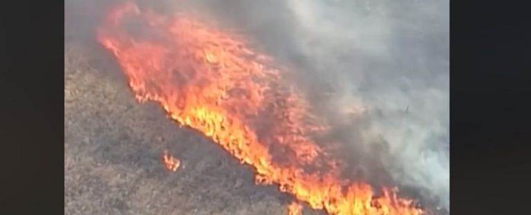 Firenado: Απίστευτο βίντεο με φλογερό ανεμοστρόβιλο να κατακαίει την Αυστραλία | tanea.gr