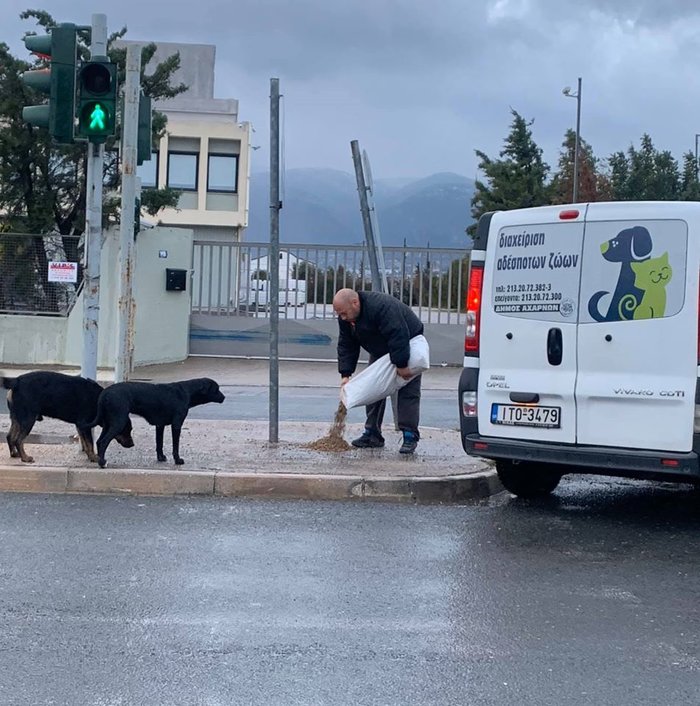 Ο Δήμαρχος Αχαρνών έστειλε υπαλλήλους να ταΐσουν τα αδέσποτα