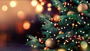 Το πιο παράξενο χριστουγεννιάτικο δέντρο της χρονιάς