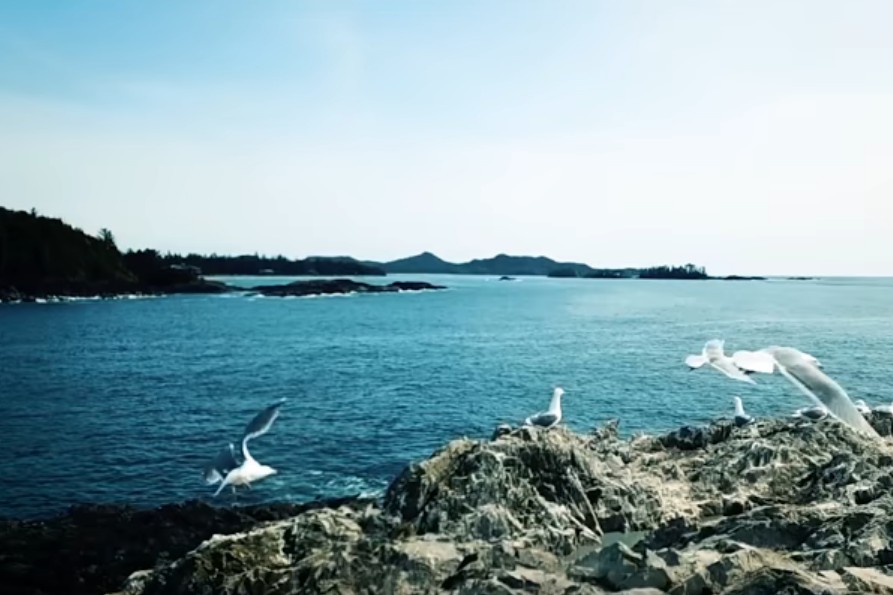 Αυτό είναι το απόλυτο viral: Διακοπές σε ένα… ανύπαρκτο νησί