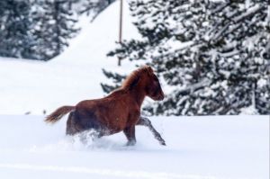 Τσουχτερό κρύο και χιόνια φέρνει η κακοκαιρία «Ζηνοβία»