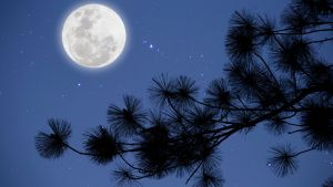 Πανσέληνος και έκλειψη στον άξονα Καρκίνου-Αιγόκερου, ώρα για δράση!