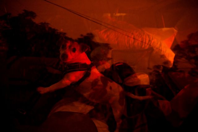 Πύρινος εφιάλτης στην Αυστραλία : Εχθρός τα απίστευτα καιρικά φαινόμενα