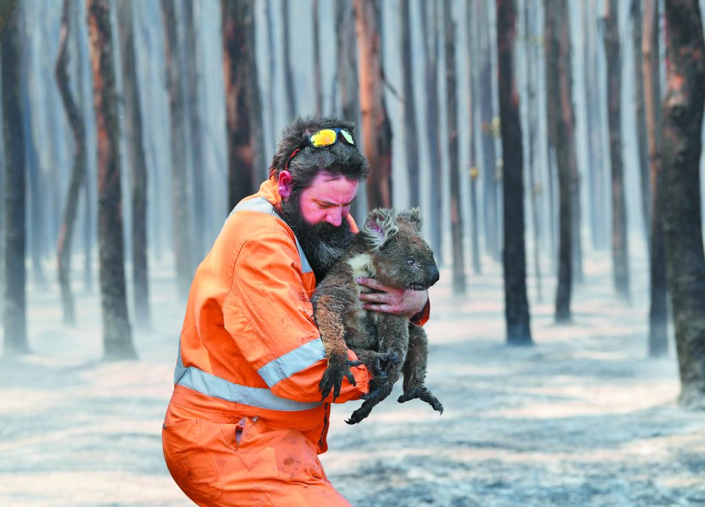 Συγκεντρώνουν εκατομμύρια για την καμένη Αυστραλία