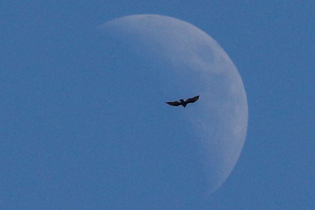 2020: Δίσεκτο αλλά με πολλά τριήμερα