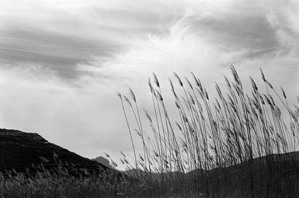 Έκθεση της Ευγενίας Κουμαντάρου για την Τήνο