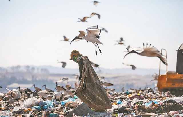 Καταρρέουμε. Ας το ευχαριστηθούμε!