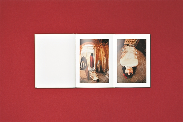 Το σχήμα των ρούχων που έρχονται