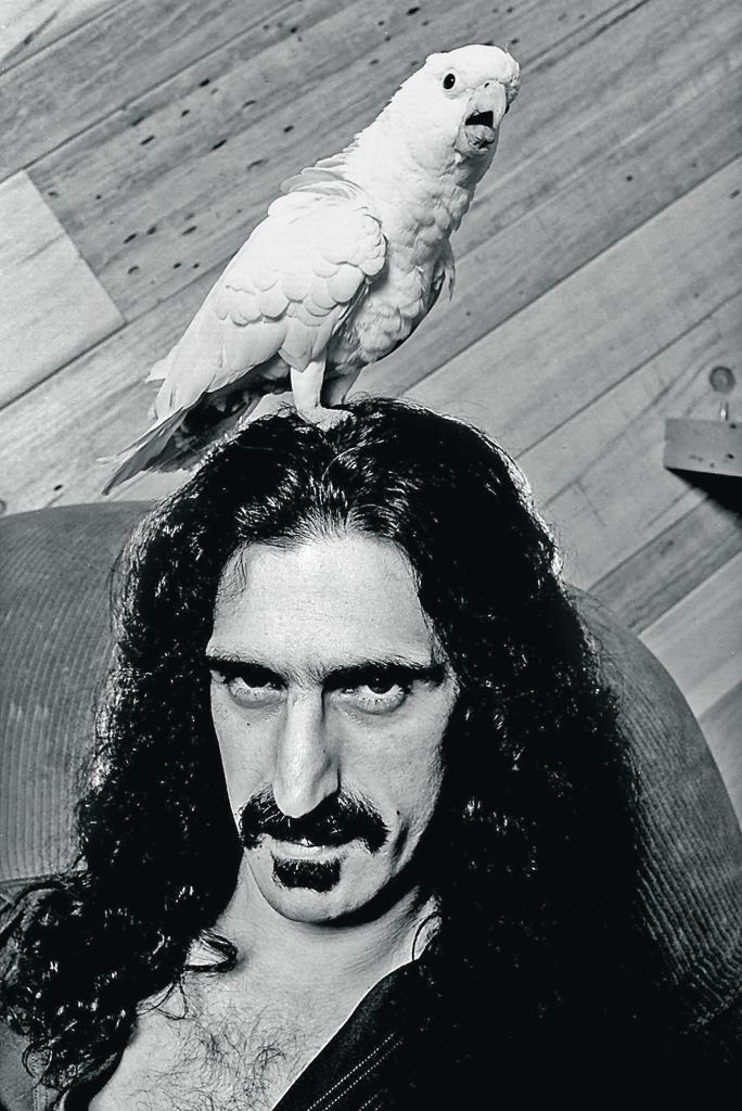 Ο αστεροειδής που τον λέγανε Φρανκ Ζάπα