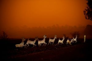 Αυστραλία: Οι πρώτες στάλες βροχής και ελπίδας εν μέσω νέου συναγερμού