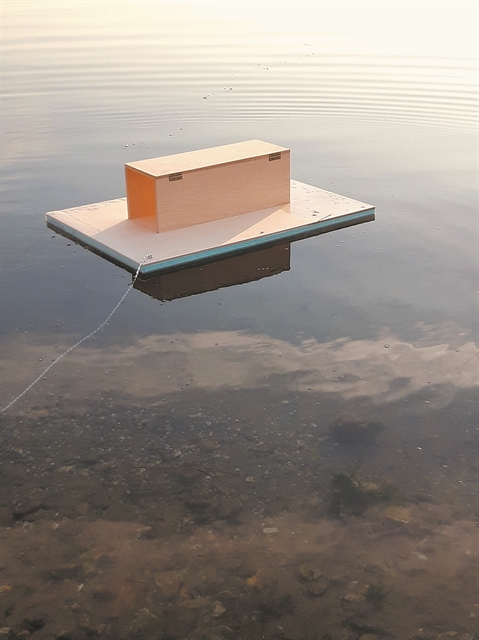 Εξοντώστε τους εισβολείς!