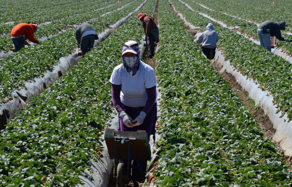 Εργοδότης πυροβόλησε εργάτες που ζήτησαν τα δεδουλευμένα τους