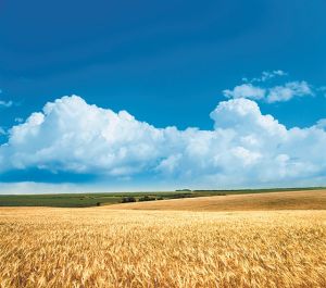 Δίνουμε στους αγρότες τα εφόδια να αντιμετωπίσουν το μέλλον