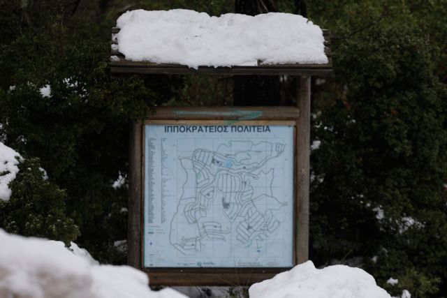 Καιρός : Δείτε LIVE πού χιονίζει τώρα – Στα λευκά… η μισή Ελλάδα