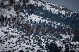 Ο «Ηφαιστίων» δείχνει τα δόντια του – Πού εντοπίζονται ισχυρά φαινόμενα