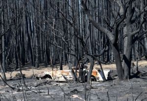 Φωτιές στην Αυστραλία : Σύστημα πόρτα-πόρτα για την εκκένωση κατοικιών