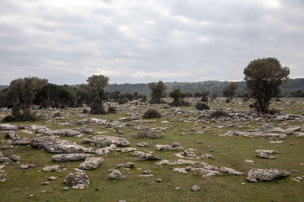 Καταγγέλλουν δημιουργία κλειστού κέντρου σε χώρο στρατιωτικής σημασίας