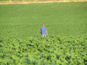 «ΟΑΕΔ… μεταναστών» : Το σχέδιο για αγροτικές δουλειές σε χιλιάδες πρόσφυγες και μετανάστες