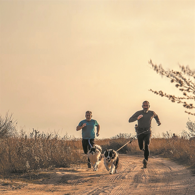 Τρέξε παρέα με τον σκύλο σου