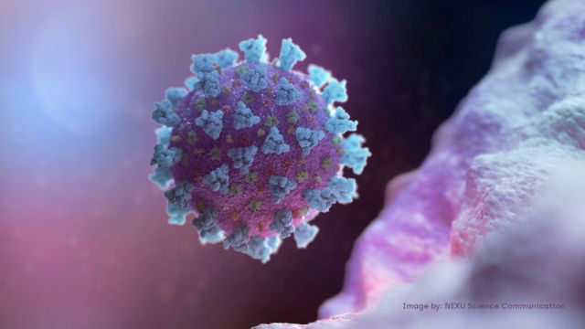 Κορωνοϊός: Οσα πρέπει να γνωρίζουμε για τον θανατηφόρο ιό – Τα συμπτώματα και τα μέτρα προστασίας