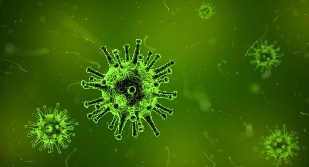 Yaravirus: Νέος ιός – αίνιγμα εντοπίστηκε στη Βραζιλία