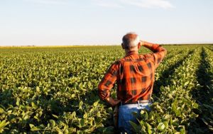 Ποιοι δικαιούνται χαμηλότοκα δάνεια 560 εκατ. ευρώ