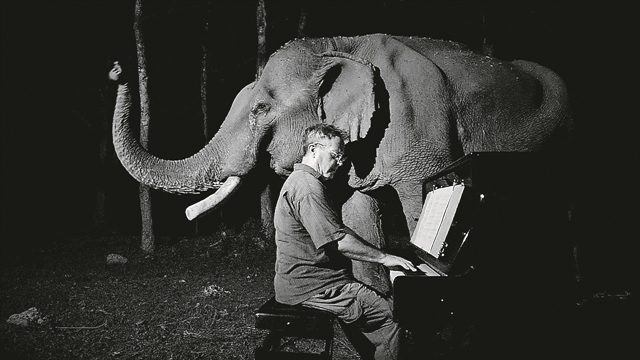 Ο ελέφαντας και ο πιανίστας