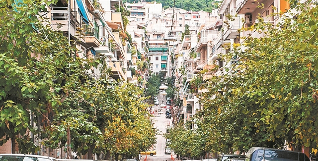 Ενα έντομο ξεραίνει τις μουριές της Αθήνας