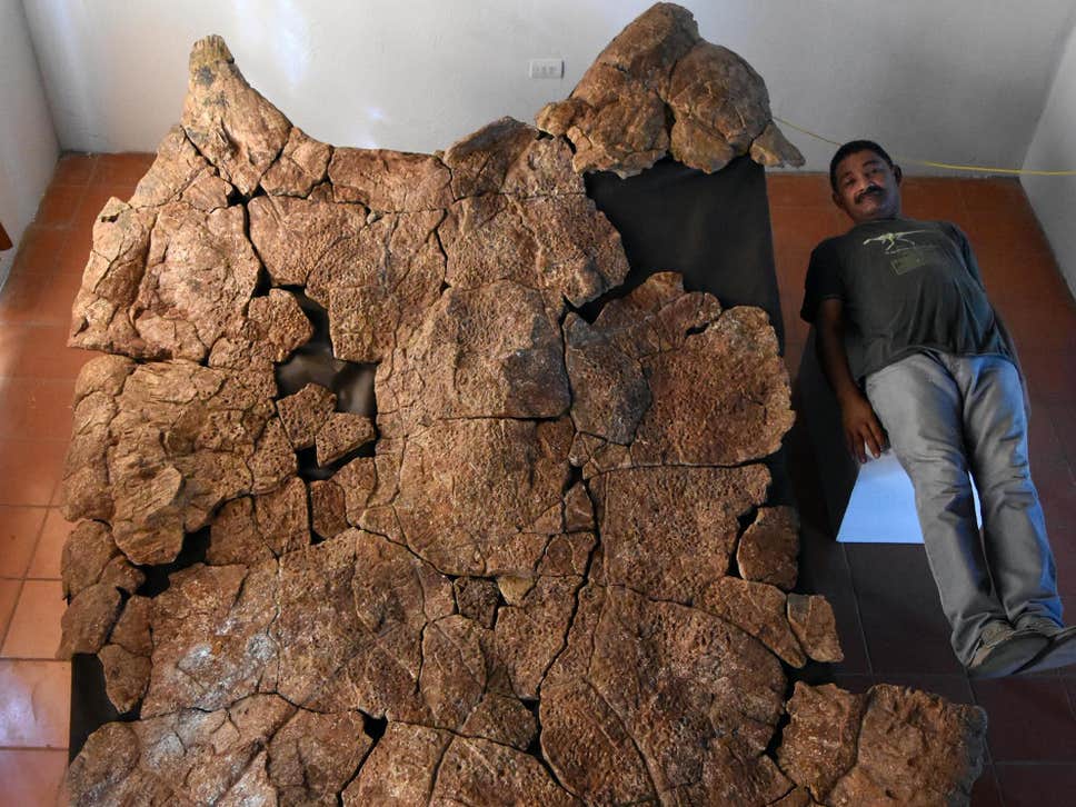Απολιθώματα γιγάντιας χελώνας με μέγεθος αυτοκινήτου ανακαλύφθηκαν στη Νότια Αμερική