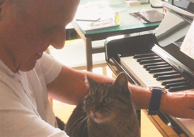 Η γάτα του Χόπκινς, η γραφομηχανή του Χανκς