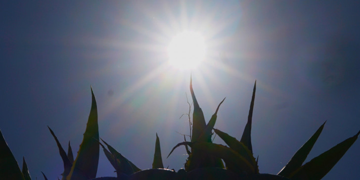 Ηλιοφάνεια την Κυριακή – Πώς θα είναι ο καιρός την Καθαρά Δευτέρα