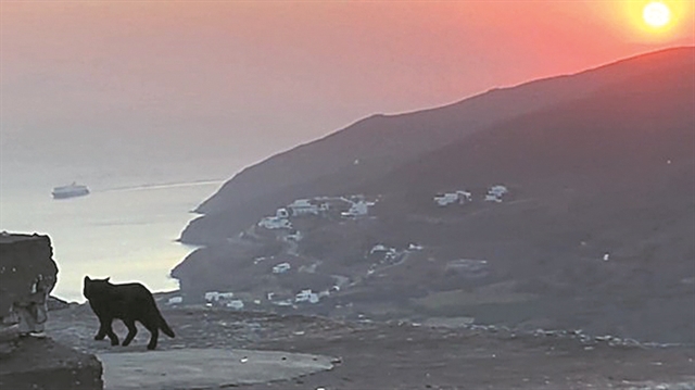 Εννιά δωρεάν προβολές από τον πειραματικό κινηματογράφο