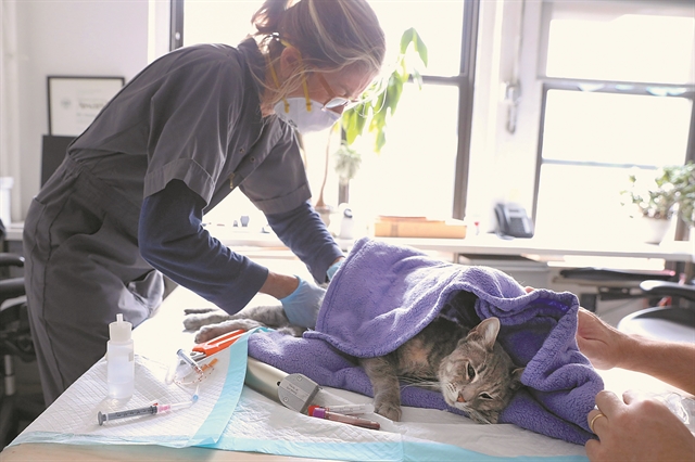 «Κρατήστε τις γάτες μέσα στο σπίτι»