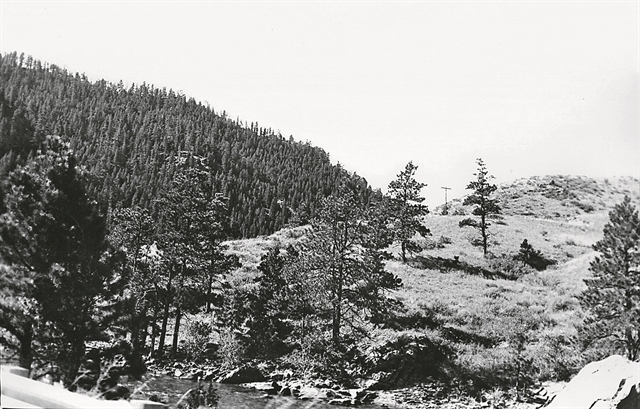 Οταν ο Αντι Γουόρχολ φωτογράφιζε τη φύση