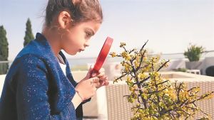 Μικρού μήκους «κεκλεισμένων των θυρών»