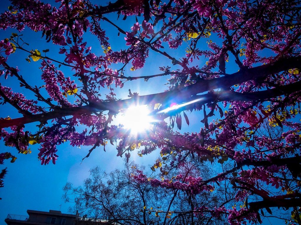 Αίθριος την Κυριακή ο καιρός
