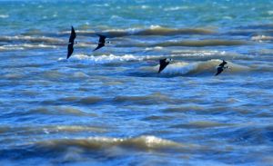 Τι καιρό θα κάνει την Κυριακή του Πάσχα