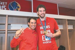 Οι «ταύροι» της ενότητας