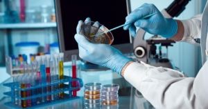 Μελέτες ανάπτυξης ανοσίας από την Ακαδημία Αθηνών